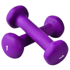 NDI Aerobic Dumbbells