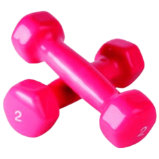 VDI Aerobic Dumbbells